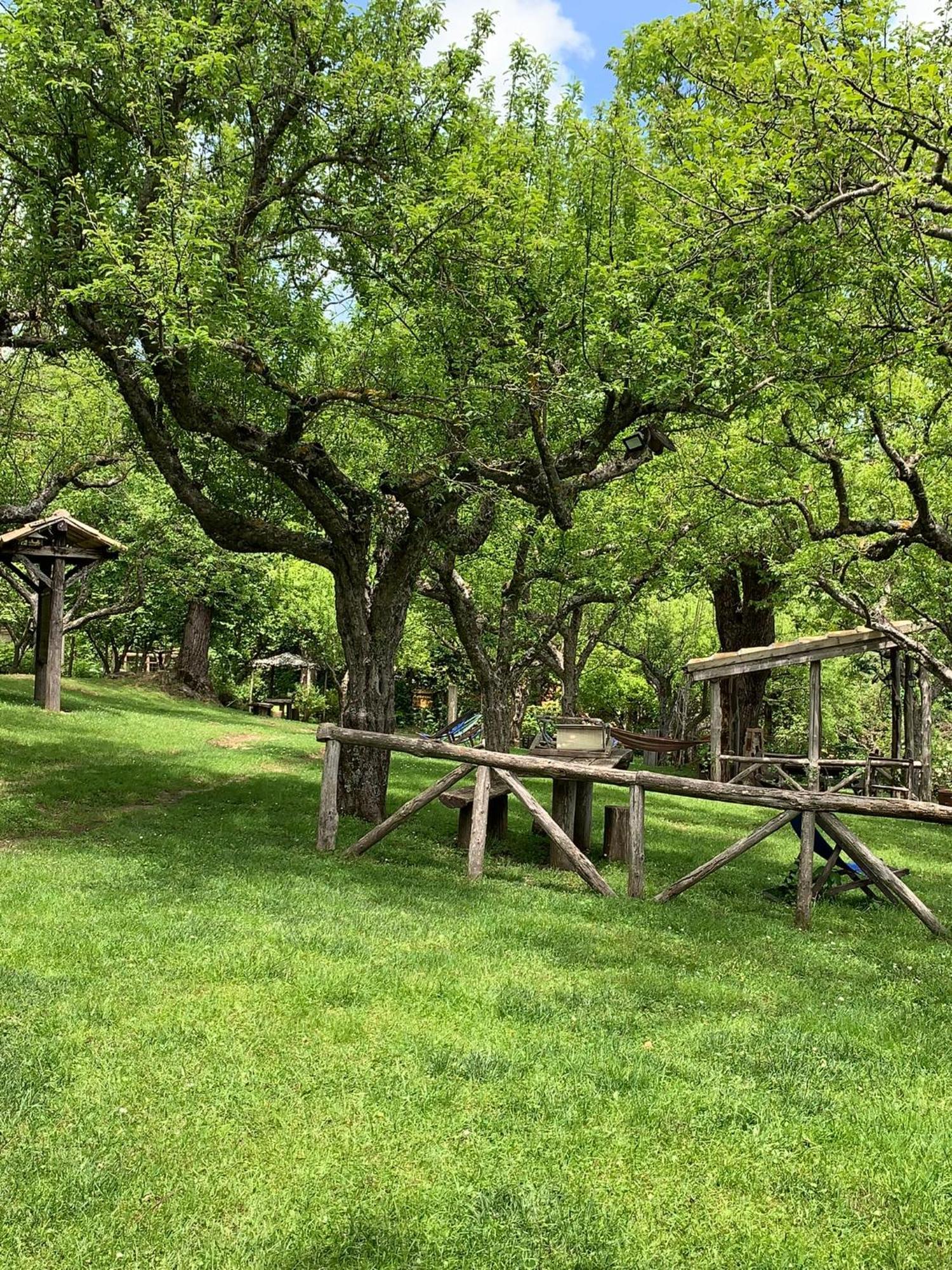 Agriturismo Carrozzino Sersale Экстерьер фото