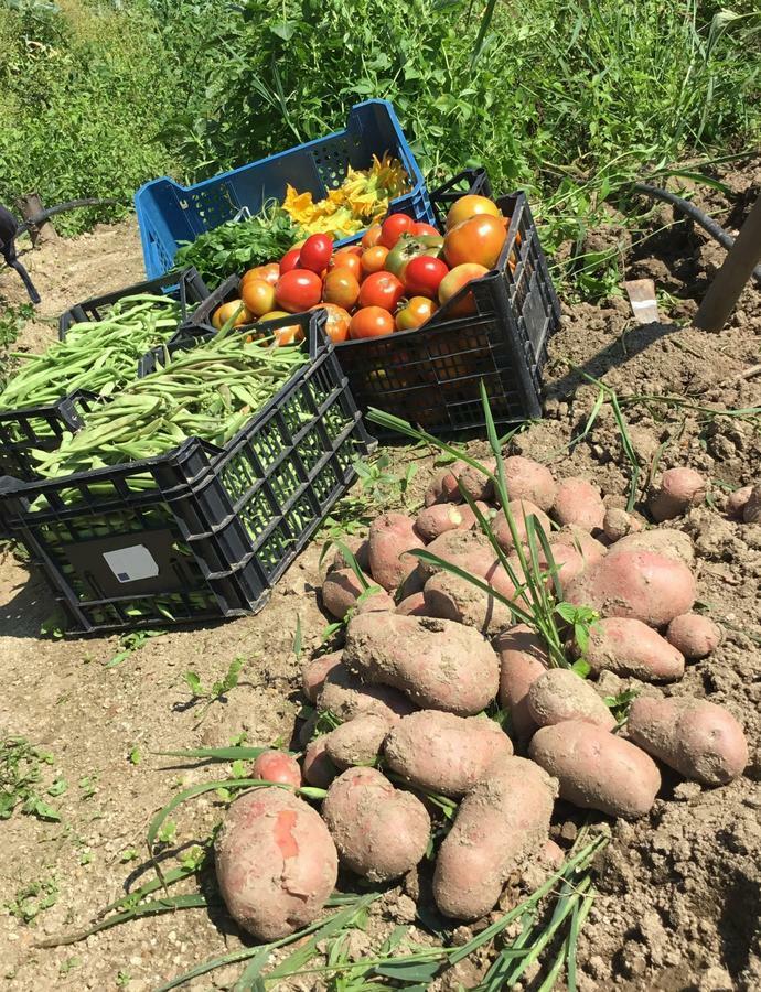 Agriturismo Carrozzino Sersale Экстерьер фото